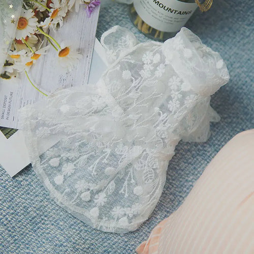 Lace Sunscreen Skirt for Dogs and Cats
