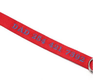 Dog Collar with Anti-Loss and Embroidered Design