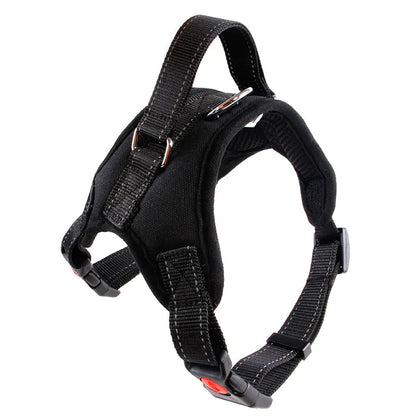 Small Dog Vest with Rope Chest and Back Design