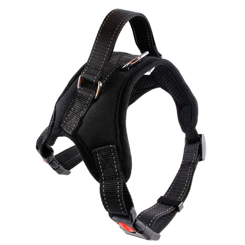 Small Dog Vest with Rope Chest and Back Design
