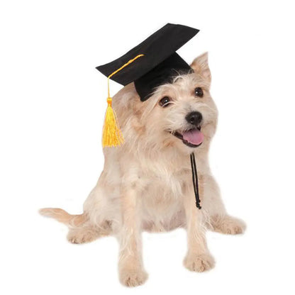 Custom Doctoral Graduation Cap for Dogs with Tassel